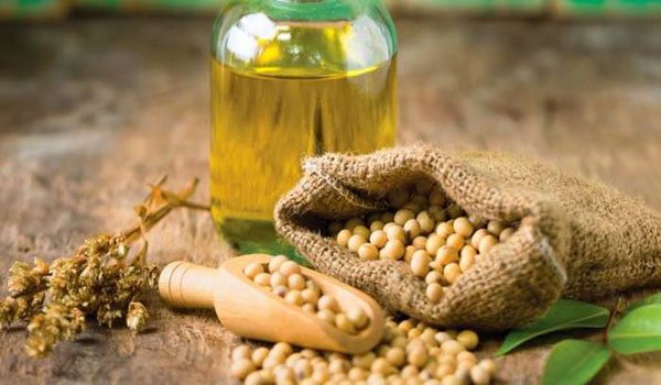 تصویر 1 از قیمت خرید روغن سویا خام با فروش عمده